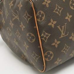 Louis Vuitton Monogram Canvas Speedy 25 Bag