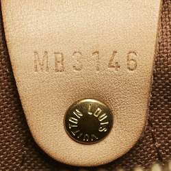 Louis Vuitton Monogram Canvas Speedy 25 Bag