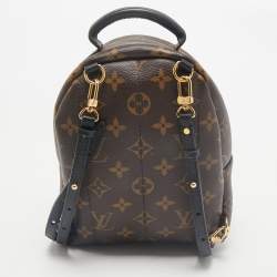 Louis Vuitton Monogram Canvas Mini Palm Springs Backpack