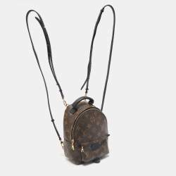 Louis Vuitton Monogram Canvas Mini Palm Springs Backpack