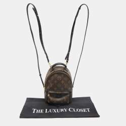 Louis Vuitton Monogram Canvas Mini Palm Springs Backpack