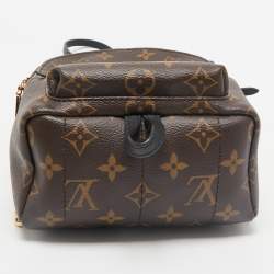 Louis Vuitton Monogram Canvas Mini Palm Springs Backpack