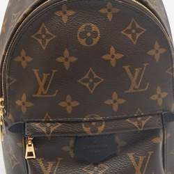 Louis Vuitton Monogram Canvas Mini Palm Springs Backpack