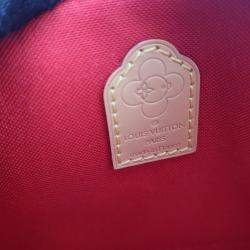 Louis Vuitton Brown Monogram Candy Factory Nano Alma