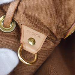Louis Vuitton Brown Monogram Canvas Montsouris MM Backpack