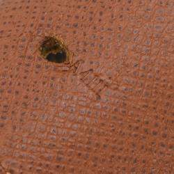 Louis Vuitton Brown Monogram Canvas Pochette Duo Waist Bag 