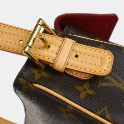 Pre Owned Louis Vuitton Brown Monogram Viva Cite MM Handbag
