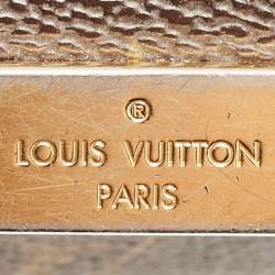 Louis Vuitton Monogram Canvas Favorite PM Bag