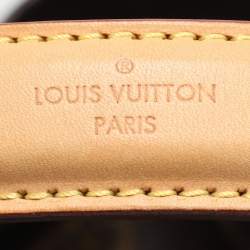Louis Vuitton Monogram Canvas Metis Bag