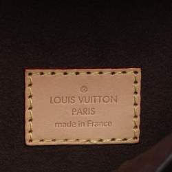 Louis Vuitton Monogram Canvas Metis Bag
