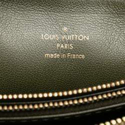 Louis Vuitton Brown Monogram Embossed Puffy Lambskin Coussin MM