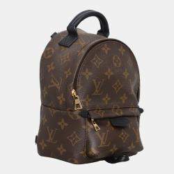 Louis Vuitton Brown Monogram Palm Spring Mini  Backpack