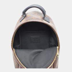 Louis Vuitton Brown Monogram Palm Spring Mini  Backpack