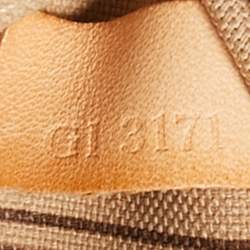 Louis Vuitton Monogram Canvas Neverfull MM Bag
