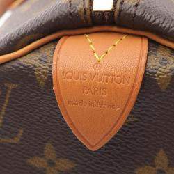 Louis Vuitton Speedy 30 Brown Monogram Leather Handbag