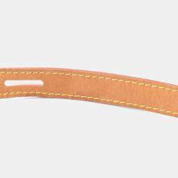 Pre Owned Louis Vuitton Boite Chapeau Souple PM Brown Monogram Canvas Shoulder Bag