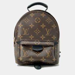 Louis Vuitton Brown Monogram Palm Springs Backpack MINI