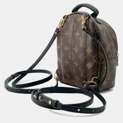 Louis Vuitton Brown Monogram Palm Springs Backpack MINI