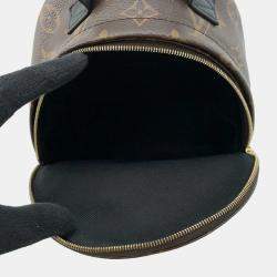 Louis Vuitton Brown Monogram Palm Springs Backpack MINI