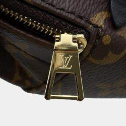 Louis Vuitton Brown Monogram Palm Springs Backpack MINI