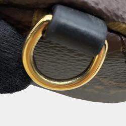Louis Vuitton Brown Monogram Palm Springs Backpack MINI