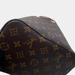 Louis Vuitton Neonoe Bordeaux Monogram Size Bb