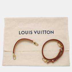 Louis Vuitton Neonoe Bordeaux Monogram Size Bb