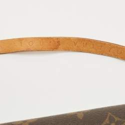 Louis Vuitton Monogram Canvas Pochette Florentine Belt Bag