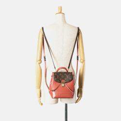 Louis Vuitton Brown Pink Monogram Vernis Hot Springs