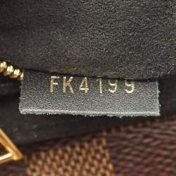Louis Vuitton Black Damier Ebene Canvas Vavin PM Bag