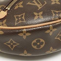 Louis Vuitton Monogram Canvas Loop Bag