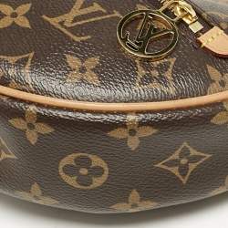 Louis Vuitton Monogram Canvas Loop Bag