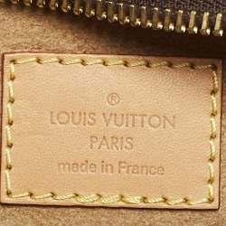Louis Vuitton Monogram Canvas Loop Bag