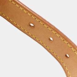 Louis Vuitton Rayeur Petit Noe Monogram Shoulder Bag