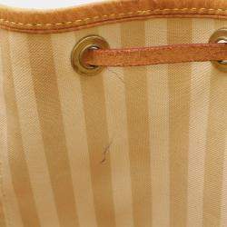 Louis Vuitton Rayeur Petit Noe Monogram Shoulder Bag