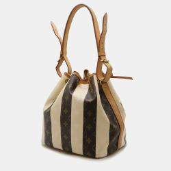 Louis Vuitton Rayeur Petit Noe Monogram Shoulder Bag
