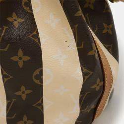 Louis Vuitton Rayeur Petit Noe Monogram Shoulder Bag