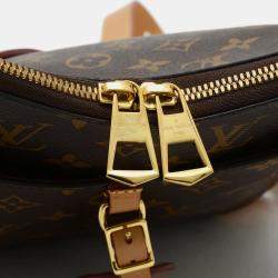 Pre Owned Louis Vuitton Odeon PM Monogram Shoulder Bag