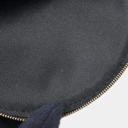 Louis Vuitton Monogram Palm Springs Mini Backpack 
