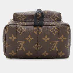 Louis Vuitton Monogram Palm Springs Mini Backpack 