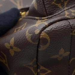 Louis Vuitton Monogram Palm Springs Mini Backpack 