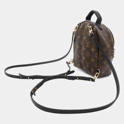 Louis Vuitton Monogram Palm Springs Mini Backpack 
