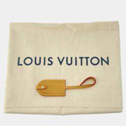 Louis Vuitton Randonnee Stripe Monogram Backpack