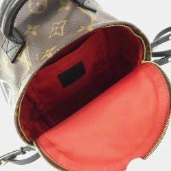 Louis Vuitton Monogram World Tour Palm Springs Backpack Mini