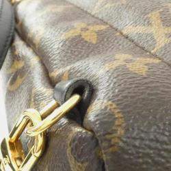 Louis Vuitton Monogram World Tour Palm Springs Backpack Mini