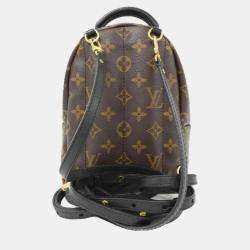 Louis Vuitton Monogram World Tour Palm Springs Backpack Mini