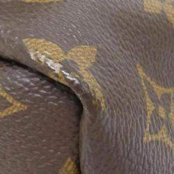 Louis Vuitton Monogram Palm Springs Backpack Pm