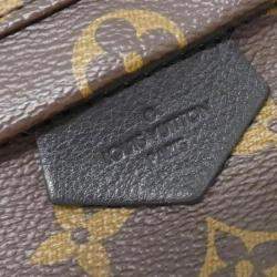 Louis Vuitton Monogram Palm Springs Backpack Pm