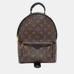 Louis Vuitton Monogram Palm Springs Backpack Pm