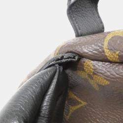 Louis Vuitton Monogram Palm Springs Backpack Pm